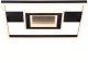 Ceiling LED lamp BALTIK GAISMA, 102W, 3000+6000K, 230V, 7140lm, square, 50x50cm, with remote control 1