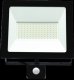 LED spotlight TOPE TOLEDOSENS, with motion sensor, IP54, 4000 K, 9000 lm, 100 W 1