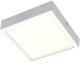 Surface-mounted LED panel VESTALIGHT VESTA1038SS, IP40, 24 W 4000 K 2160 lm 19.1x19.1cm 1