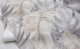 WALLPAPER 525227 GREY LEAVES (12) 1