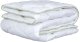 Blanket DORMEO ALOE VERA, 140 x 200 cm, 100% polyester 1