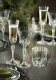 Crystal white wine glasses RCR ADAGIO, 220 ml., 6 pcs. 6