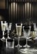 Crystal wine glasses RCR Timeless, 300 ml, 6 pcs. 5