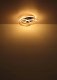 Ceiling LED lamp GLOBO GLYXAR, 40W, 3000K, 4480lm, matte black/gold color, o56x16cm 5