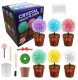 Norimpex Zestaw Edukacyjny 6Szt Diy Eksperymenty Zabawa W Chemika Magiczne Kryształy 1