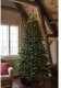 Sirius Home Drop Down, Light decoration chain, Green, 312 lamp(s), LED, 4.8 W, 6 V 1
