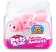 Pets Alive Swimming Axolotls 1
