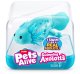 Pets Alive Swimming Axolotls 1