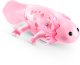 Pets Alive Swimming Axolotls 9