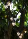Sirius Home Lucas, 10 lamp(s), LED, Indoor/outdoor, Black, 6 W, 3 m 1