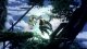 SHADOW LABYRINTH SWITCH 14
