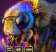 YUZINO Projektor 4K 15000 l WiFi Bluetooth 1080p kino domowe LED biały 2024 9