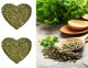 Pietruszka natka suszona liść przyprawa naturalna zioła posypka do ziemniaków 100g 3