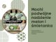 Mochi z podwójnym nadzieniem melon i śmietanka double filling japońskie owocowe ciastka ryżowe180g 2