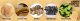 Suszone chińskie grzyby uszaki paski fungus white black stripsy przyprawa 100g 1