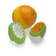 SPECIALTY Tarka Flexi Zesti zielona 2