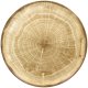 Woodart talerz płaski brązowy 29 cm 1