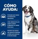Sucha karma dla psa Hill's Prescription Diet i/d SensitiveDigestiveCare 4kg 2