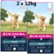 Sucha karma Eukanuba Adult Large Breed, jagnięcina i ryż, 2 x 12 kg 1