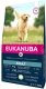 Sucha karma Eukanuba Adult Large Breed, jagnięcina i ryż, 2 x 12 kg 2