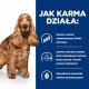 Sucha karma Hill's Prescription Diet z/d Food Sensitivities 2 x 10 kg 4