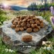 Sucha karma Purizon Adult dla kota, jagnięcina i ryba 6,5 kg 4