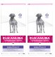 Sucha karma Eukanuba VETERINARY DIETS Dermatosis 2 x 12 kg 1