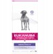 Sucha karma Eukanuba VETERINARY DIETS Dermatosis 2 x 12 kg 4