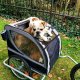Przyczepka rowerowa No Limit Doggy Liner Paris de Luxe 3