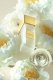 GRITTI Monica Limited Edition Extrait de Parfum spray 100ml 3