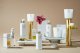 GRITTI Gossip Night BODTY LOTION 250ml 1