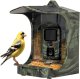 Evolveo EVOLVEO StrongVision BirdFeeder Inteligentne karmnik dla ptaków z kamerą i panelem słonecznym 7