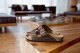 Birkenstock Arizona LEOI 0052533 Brązowe 39 7
