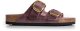 Klapki Birkenstock Arizona Big Buckle 1
