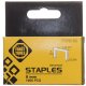 STAPLES 53/8 MM 1008 1