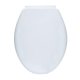 TOILET COVER WITH SLOW FLUSH MECHANISM 1