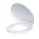 TOILET COVER WITH SLOW FLUSH MECHANISM 1