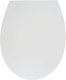 COVER FOR WC DOMOLETTI TK321 SPARE PART 1