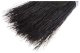PLANE BRISTLE BRUSH FORTE TOOLS 2
