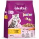 DRY CAT FOOD WHISKAS JUNIOR CHICKEN 800G 2