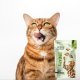 PRIMACAT TREATS ANTI-HAIRBALL 40G 4