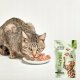 PRIMACAT TREATS ANTI-HAIRBALL 40G 6