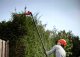 CORDLESS POLE HEDGE 45CM SKIL 0640CA 20V 9