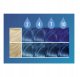SCHWARZKOPF_Live Drops zmywalna farba do włosów Crystal Blue 30ml 4