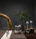 Lampa podłogowa GP FLOOR LAMP SOLAR TH020B(4.8) 1LED 1XAAA 2