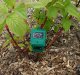 Soil parameter meter ph rh lx TFA 6