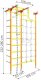 Drabinka gimnastyczna MERKURY 2 żółto-pomarańczowa z siatką | 100 kg 4