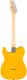 Fender Standard Telecaster sahkokitara, Butterscotch Blonde 1