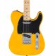 Fender Standard Telecaster sahkokitara, Butterscotch Blonde 2