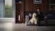 Odkurzacz pionowy Tineco Floor One S9 Artist Premium 11